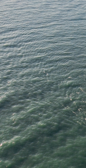 BJL平台(中国区)官网