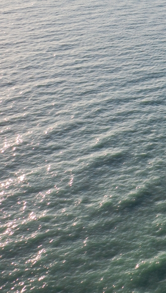 BJL平台(中国区)官网