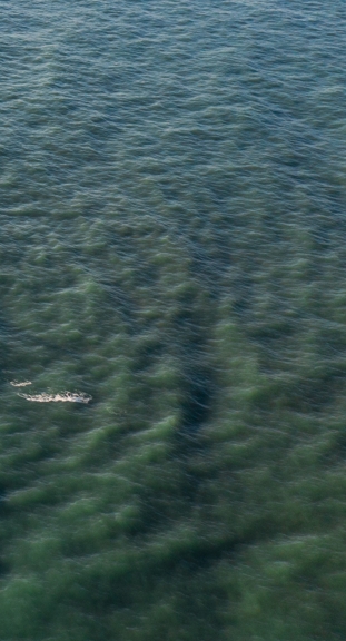 BJL平台(中国区)官网