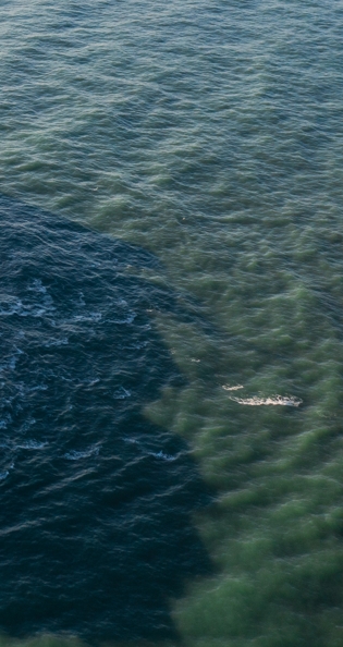 BJL平台(中国区)官网