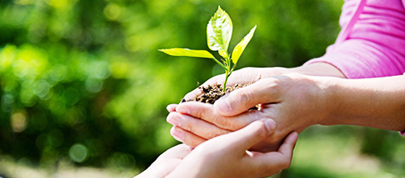 BJL平台(中国区)官网